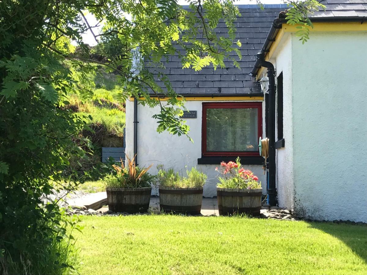 Blossom Cottage Lonmore Buitenkant foto